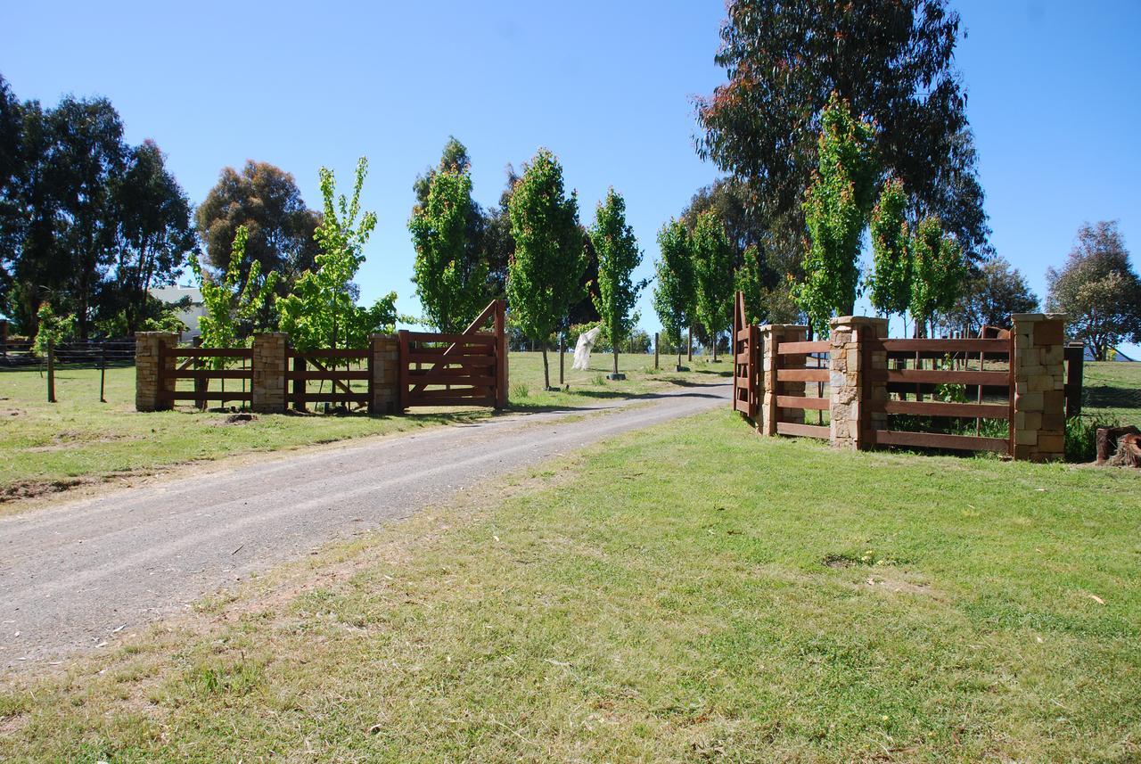 Bluegum Ridge Cottages Merrijig Exterior photo