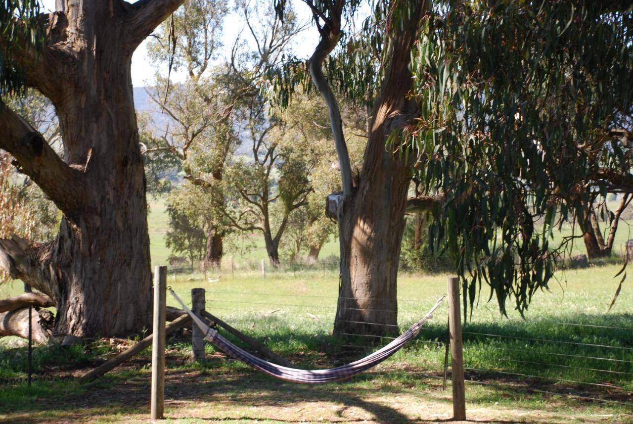 Bluegum Ridge Cottages Merrijig Room photo